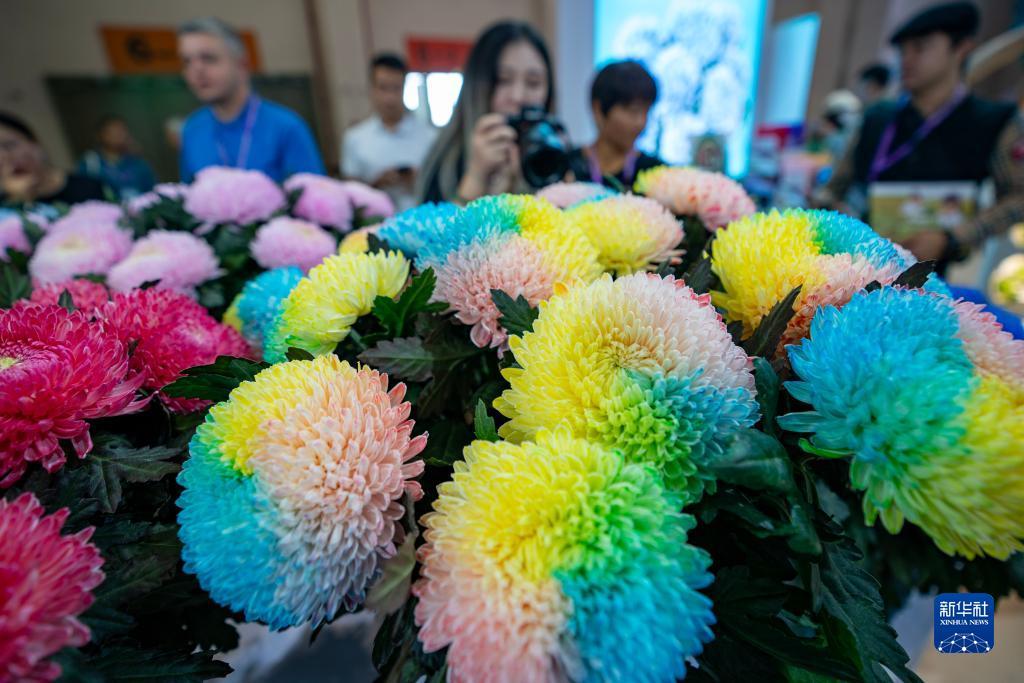 吉祥博客户端下载